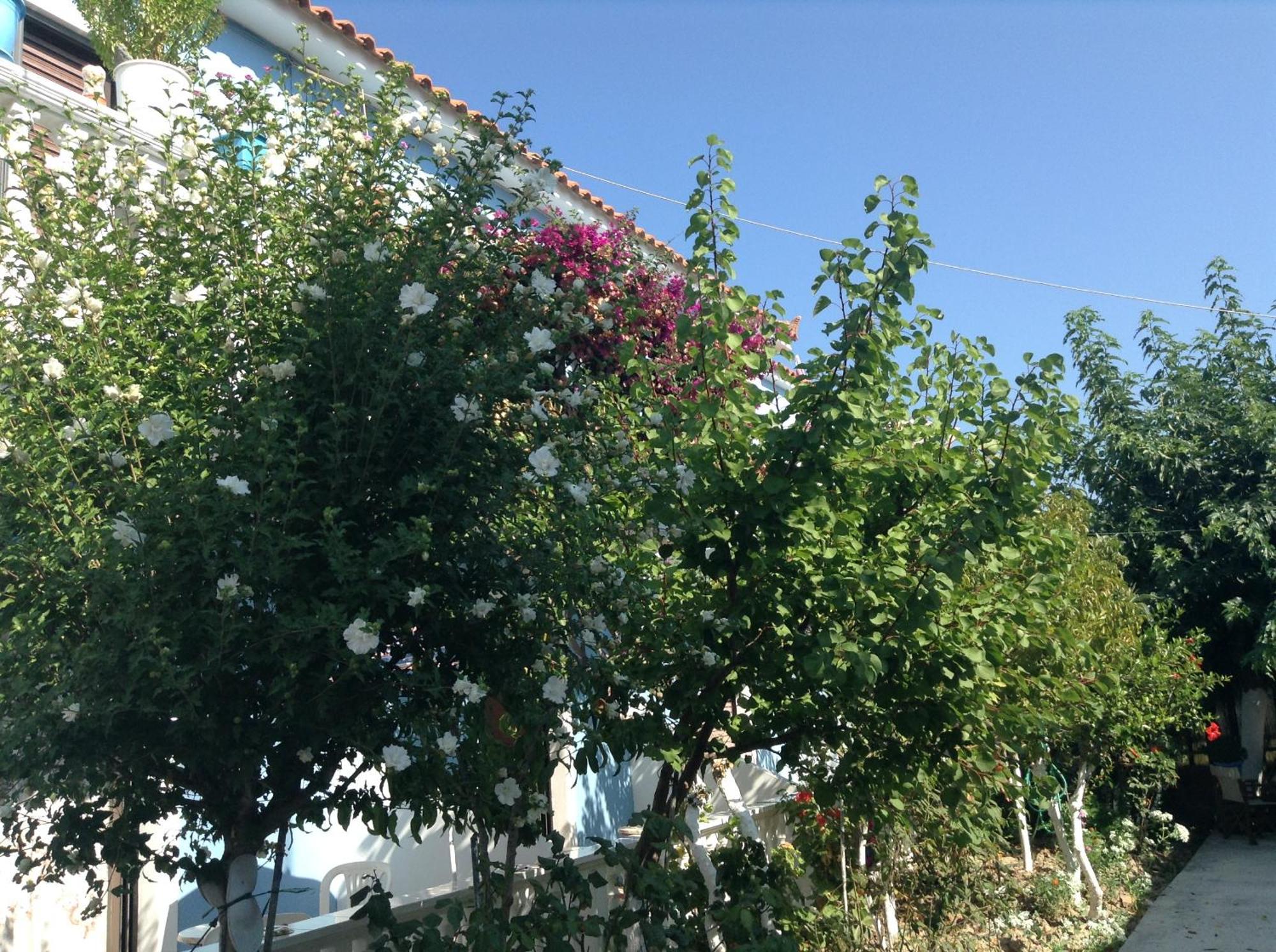 Dina Studios Kalamaki  Exterior photo